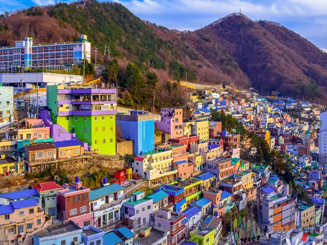 Tour Hàn Quốc — Nami, Seoul, Busan, Hàn Quốc — ảnh 1