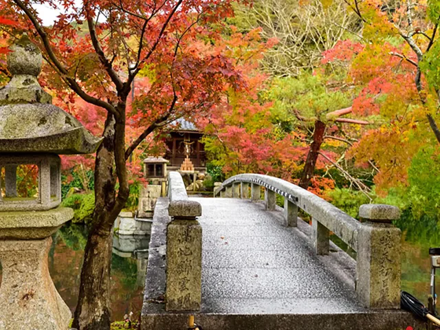 Tour Nhật Bản — Sapporo, Hokkaido, Nhật Bản, Otaru, Noboribetsu — ảnh 4