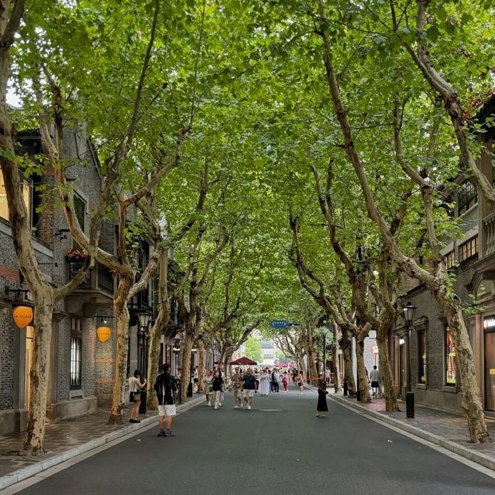 Tour Trung Quốc — Bắc Kinh, Tô Châu, Hàng Châu, Ô Trấn, Thượng Hải, Tân Thiên Địa — ảnh 5