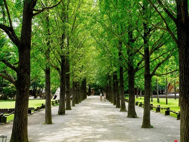Tour Hàn Quốc — Nami, Seoul, Hàn Quốc, Lotte World — ảnh 1
