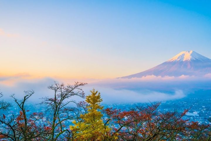 Tour Nhật Bản — Narita, Tokyo, Núi Phú Sĩ, Nagoya, Osaka, Kansai — ảnh 3
