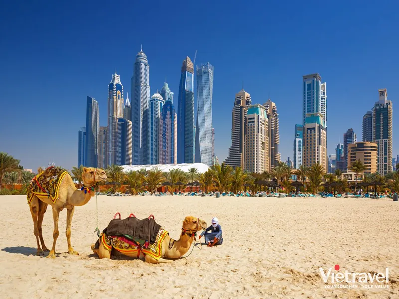 Dubai · Abu Dhabi · Trung Đông