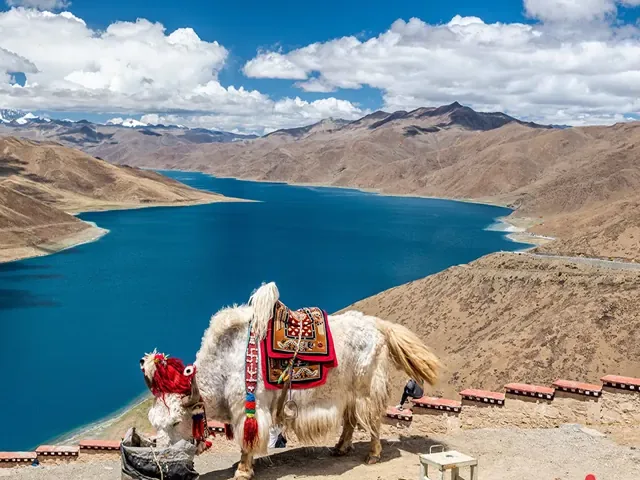 Tour Trung Quốc — Trung Quốc, Tây Tạng, Lhasa, Shigatse — ảnh 6