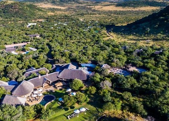 Tour Nam Phi — Cape Town, Mĩi Hảo Vọng, Núi Bàn, Seal Island, Boulder Beach, Cape Point, Johannesburg — ảnh 2