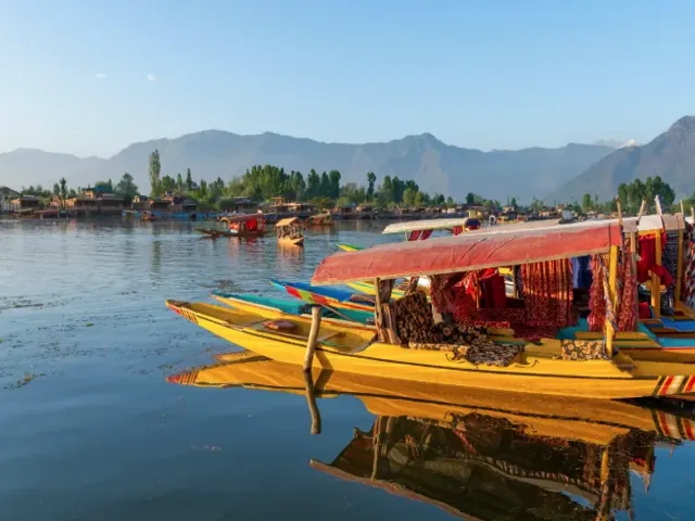 Tour Ấn Độ — Ấn Độ, Kashmir — ảnh 4