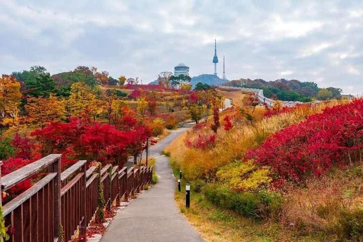 Tour Hàn Quốc — Seoul, Nami, Everland, Starfield Library — ảnh 5