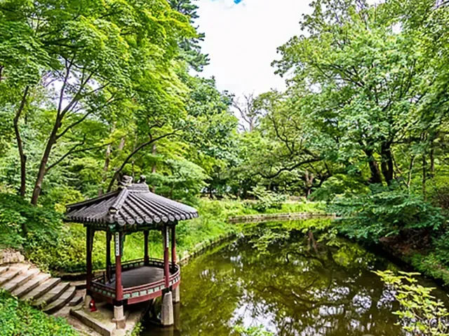 Tour Hàn Quốc — Nami, Everland, Hàn Quốc — ảnh 4