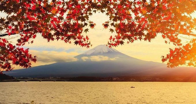 Tour Nhật Bản — Tokyo, Fuji, Yamanashi, Narita — ảnh 5