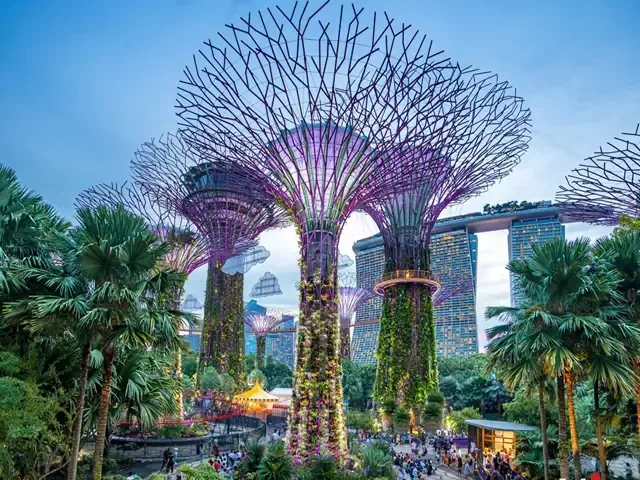Tour Singapore — Singapore — ảnh 4