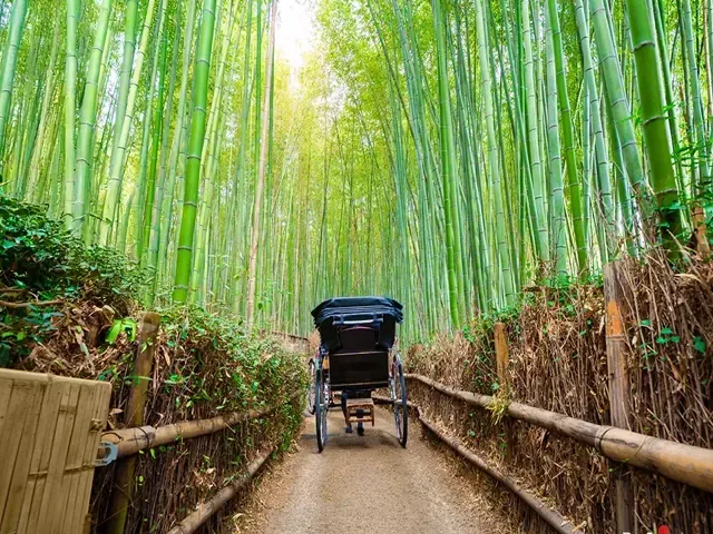 Tour Nhật Bản — Tokyo, Núi Phú Sĩ, Narita, Osaka, Nagoya, Nhật Bản — ảnh 2