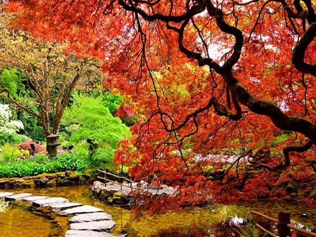 Tour Nhật Bản — Sapporo, Hokkaido, Nhật Bản, Otaru, Noboribetsu — ảnh 2