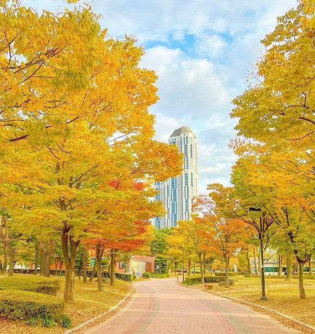 Tour Hàn Quốc — Busan, Seoul, Korean Folk Village — ảnh 4