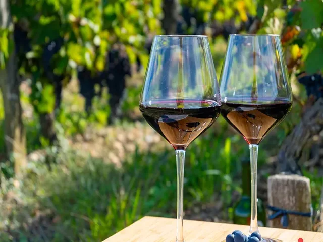 Tour Pháp — Pháp, Versailles, Bordeaux, Paris — ảnh 3
