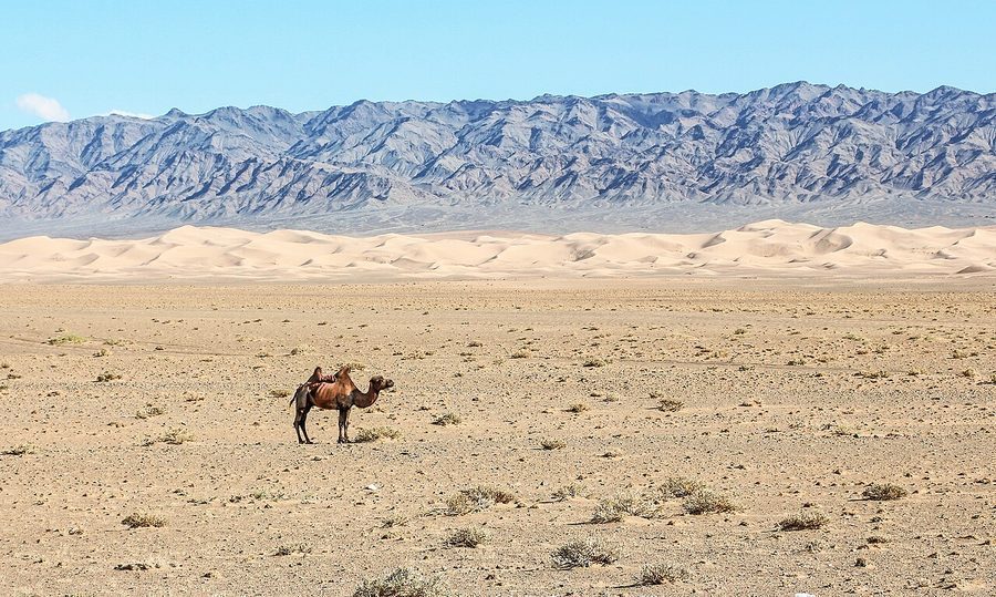 Sa mạc Gobi