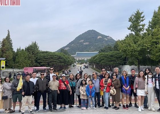 Tour Hàn Quốc — Seoul, Nami, Starfield, Hero Show, Namsan, Wolmido, China Town — ảnh 1
