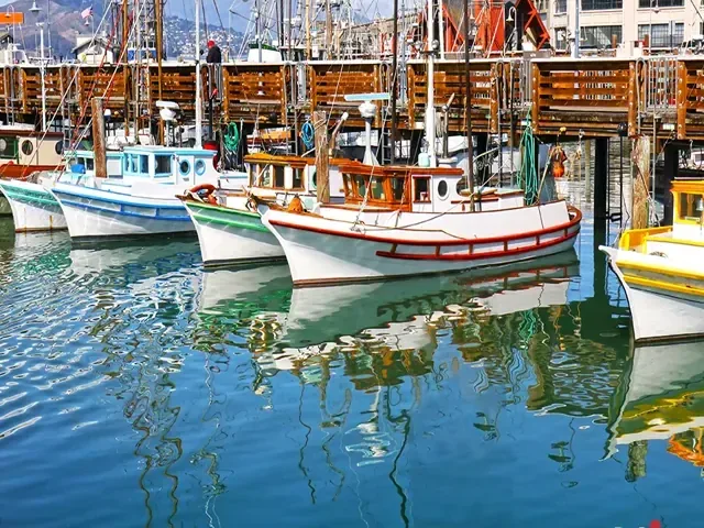 Tour Mỹ — San Francisco — ảnh 1