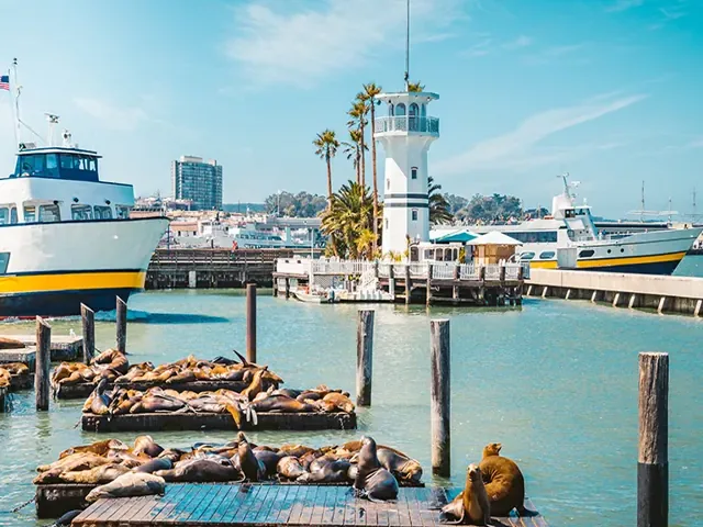 Tour Mỹ — Los Angeles, San Francisco, Mỹ — ảnh 5