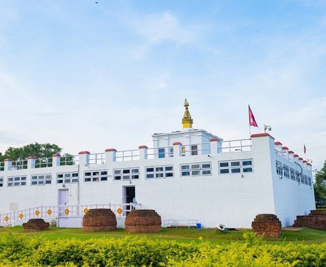 Tour Ấn Độ — Hành hương về Tứ Động Tâm — ảnh 4