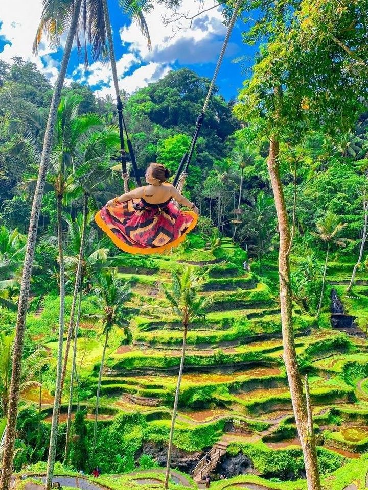Tour Indonesia — Khám phá Đảo Bali — ảnh 3