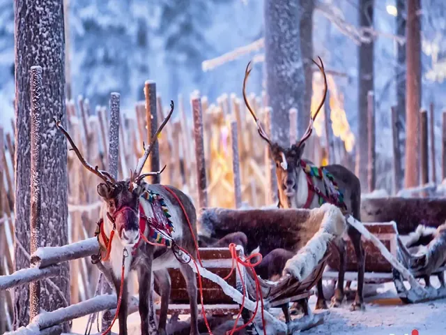 Tour Châu Âu — Oslo, Rovaniemi, Saariselka — ảnh 6