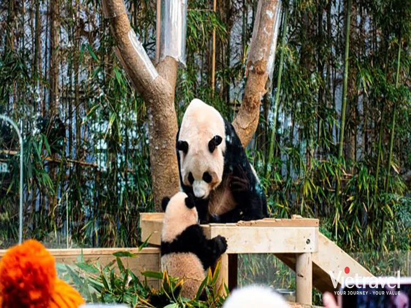 Nami · Everland · Hàn Quốc