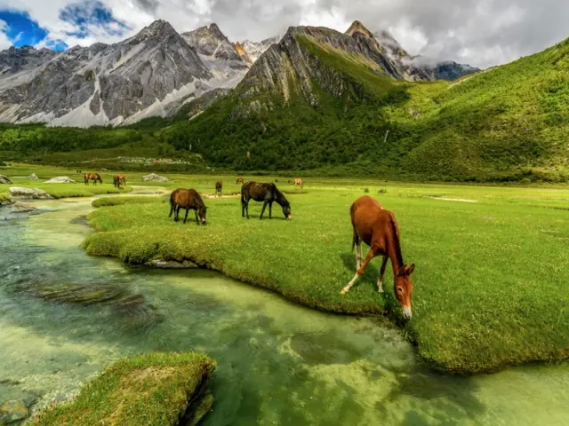 Tour Ấn Độ — Ấn Độ, Kashmir — ảnh 2