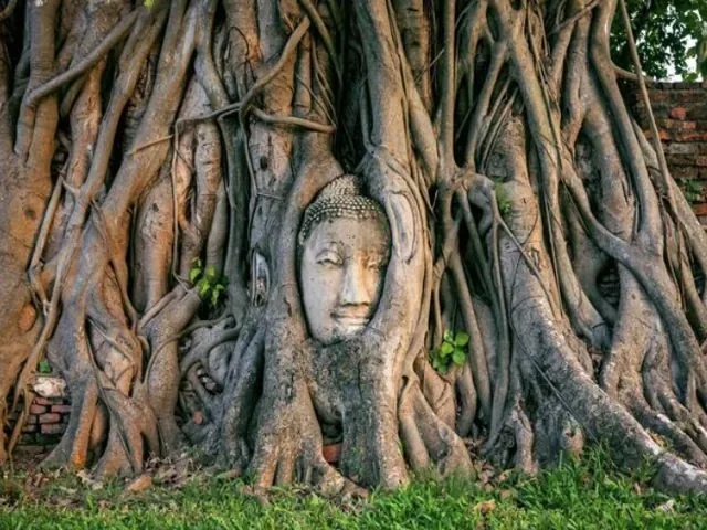 Tour Thái Lan — Bangkok, Pattaya, Ayutthaya — ảnh 4