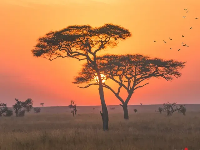 Tour Tanzania — Nam Phi — ảnh 3