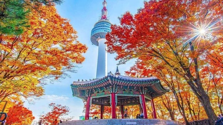Tour Hàn Quốc — Seoul, Nami, Everland, Starfield Library — ảnh 2