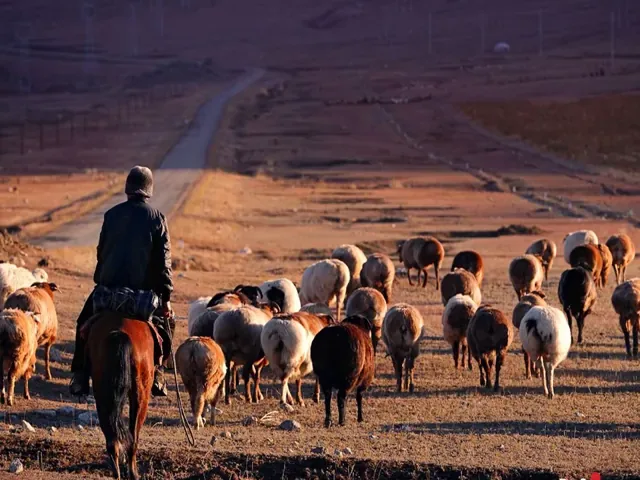 Tour Trung Quốc — Tây An, Kazakhstan, Trung Quốc, Tân Cương — ảnh 1