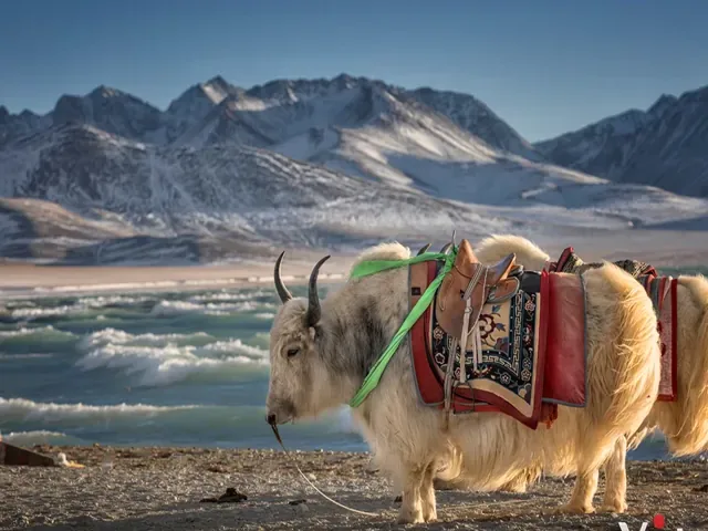 Tour Trung Quốc — Trung Quốc, Tây Tạng, Lhasa, Shigatse — ảnh 2