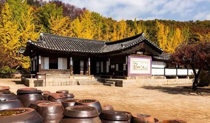 Tour Hàn Quốc — Seoul, Nami, Korean Folk Village, Starfield Library — ảnh 3
