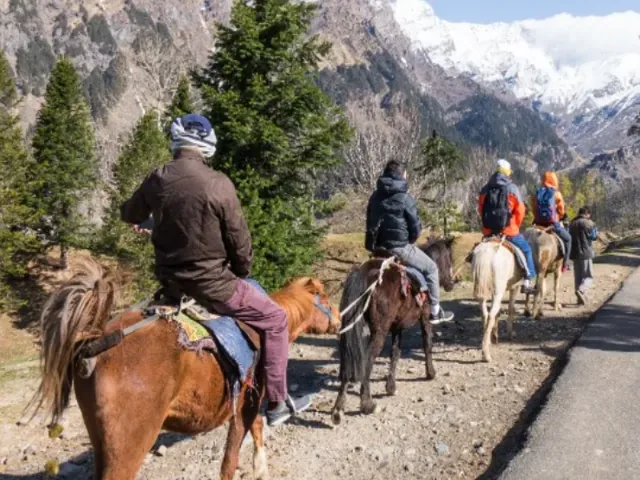 Tour Ấn Độ — Ấn Độ, Kashmir — ảnh 5