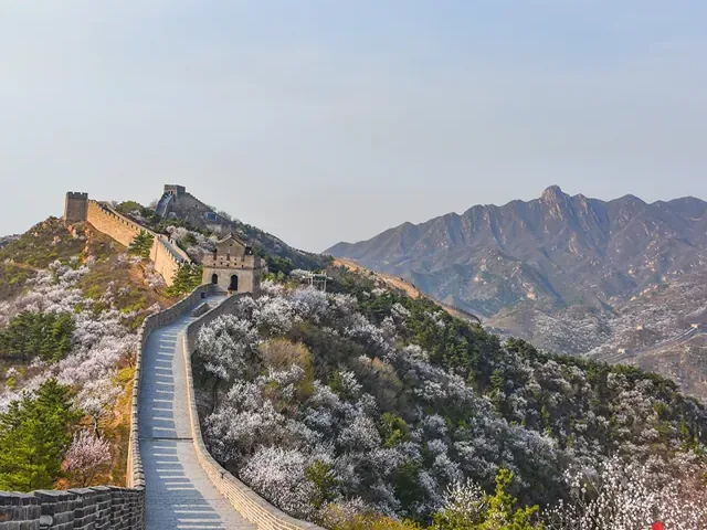 Tour Trung Quốc — Bắc Kinh, Thượng Hải, Trung Quốc — ảnh 5