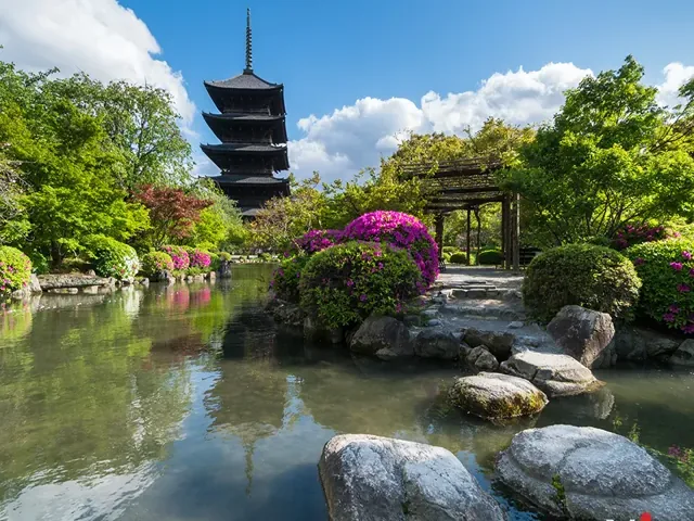 Tour Nhật Bản — Kyoto, Osaka, Kobe, Nhật Bản — ảnh 5