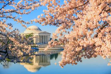 New York · Philadelphia · Washington Dc · Las Vegas · Los Angeles · San Diego