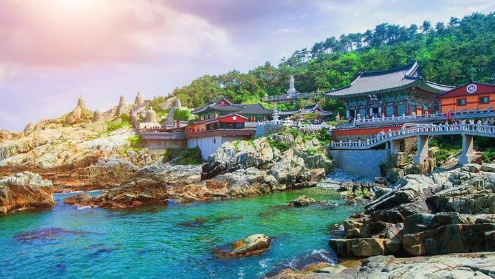 Busan · Daegu · Seoul · Nami
