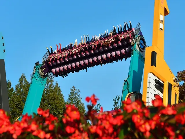 Tour Hàn Quốc — Nami, Seoul, Everland — ảnh 1