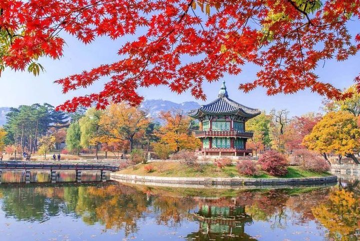 Tour Hàn Quốc — Seoul, Nami, Everland, Starfield Library — ảnh 6