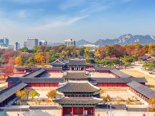 Tour Hàn Quốc — Nami, Seoul, Everland, Hàn Quốc — ảnh 3