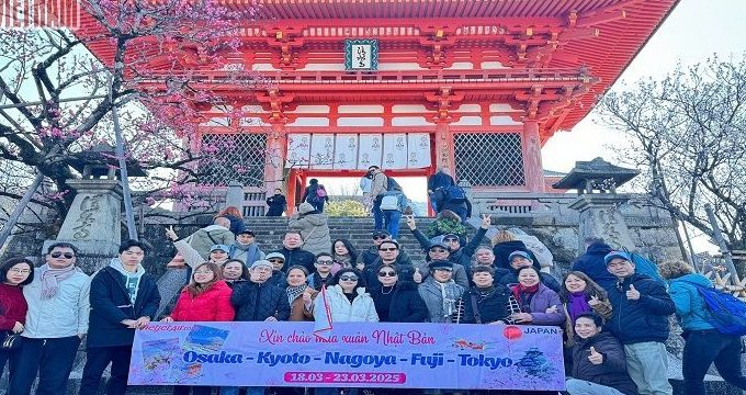 Tour Nhật Bản — Yamanashi, Fuji, Tokyo, Disneyland, Kamogawa Seaworld — ảnh 1
