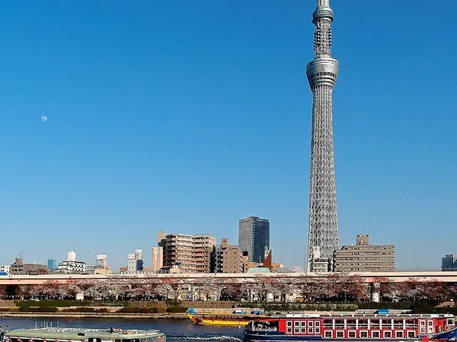 Tour Nhật Bản — Tokyo, Núi Phú Sĩ, Narita, Nhật Bản — ảnh 5