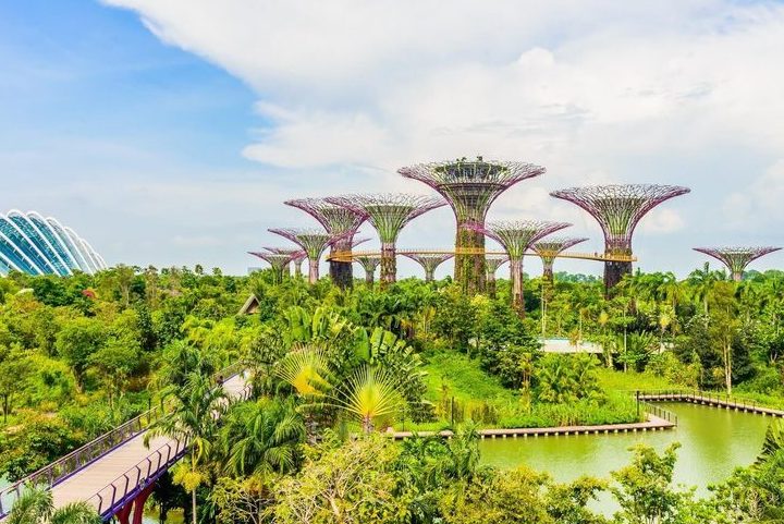 Tour Singapore - Malaysia — Tour Singapore, Malaysia — ảnh 4