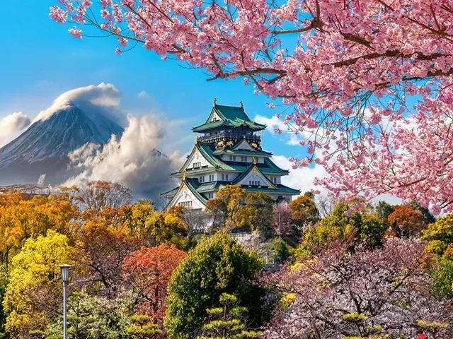Tour Nhật Bản — Tokyo, Núi Phú Sĩ, Kyoto, Osaka, Nhật Bản — ảnh 5