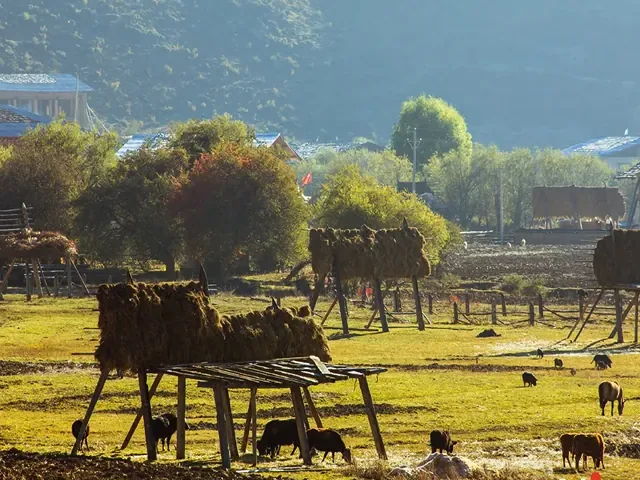 Tour Trung Quốc — Côn Minh, Lệ Giang, Trung Quốc — ảnh 4