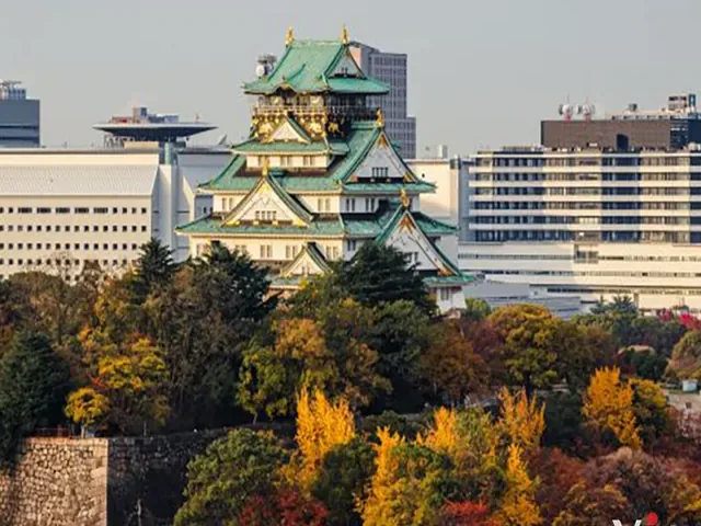 Tour Nhật Bản — Tokyo, Núi Phú Sĩ, Kyoto, Osaka, Nagoya, Nhật Bản — ảnh 6
