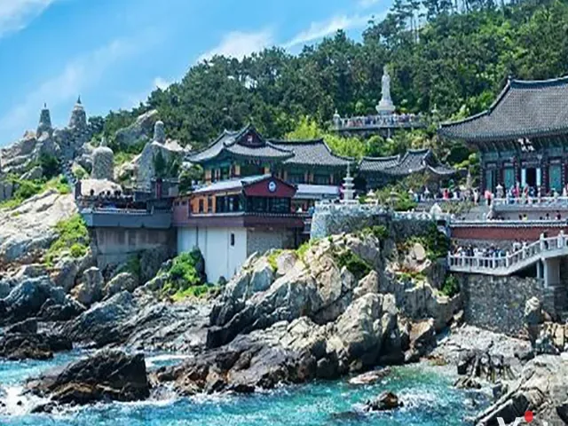 Tour Hàn Quốc — Nami, Seoul, Busan, Hàn Quốc — ảnh 2