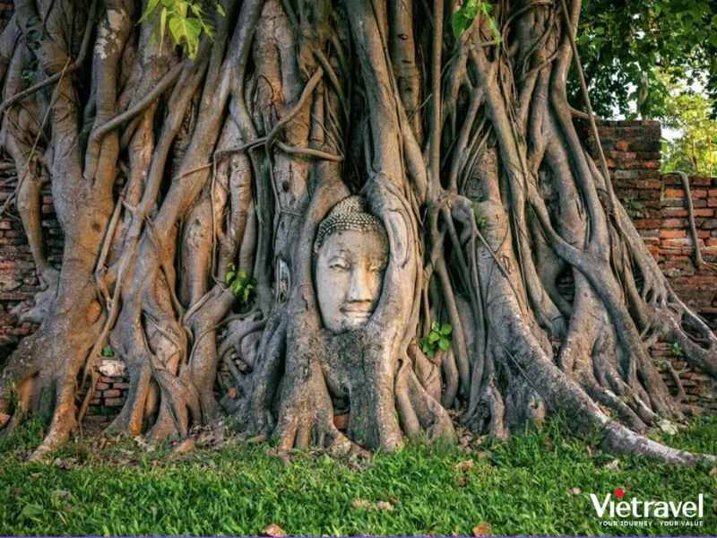 Bangkok · Pattaya · Ayutthaya