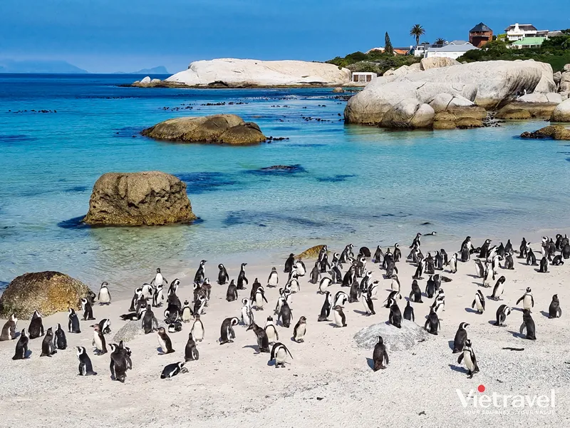 Cape Town · Johannesburg · Pretoria · Sun City · Nam Phi
