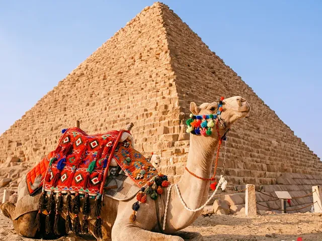 Tour Ai Cập — Cairo, Aswan, Luxor, Alexandria, Ai Cập — ảnh 3